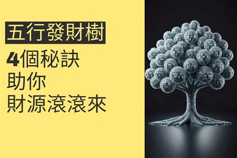 財運滾滾|開門招財、財運滾滾！4個發財樹風水擺放位置全攻略